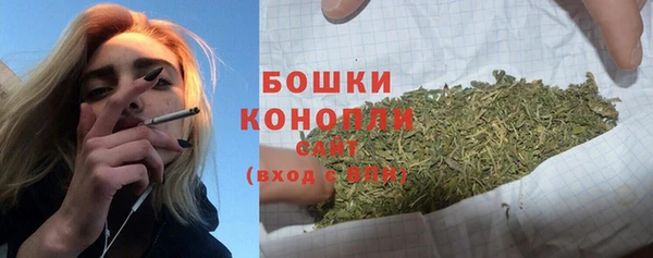 2c-b Бородино