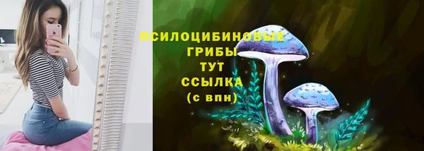 a pvp Бронницы