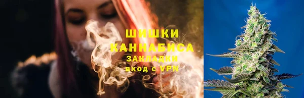 МДПВ Богородск