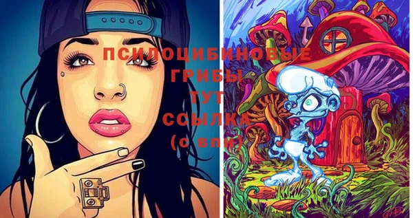 мяу мяу кристалл Иннополис