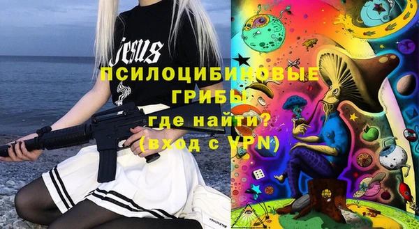 2c-b Бородино